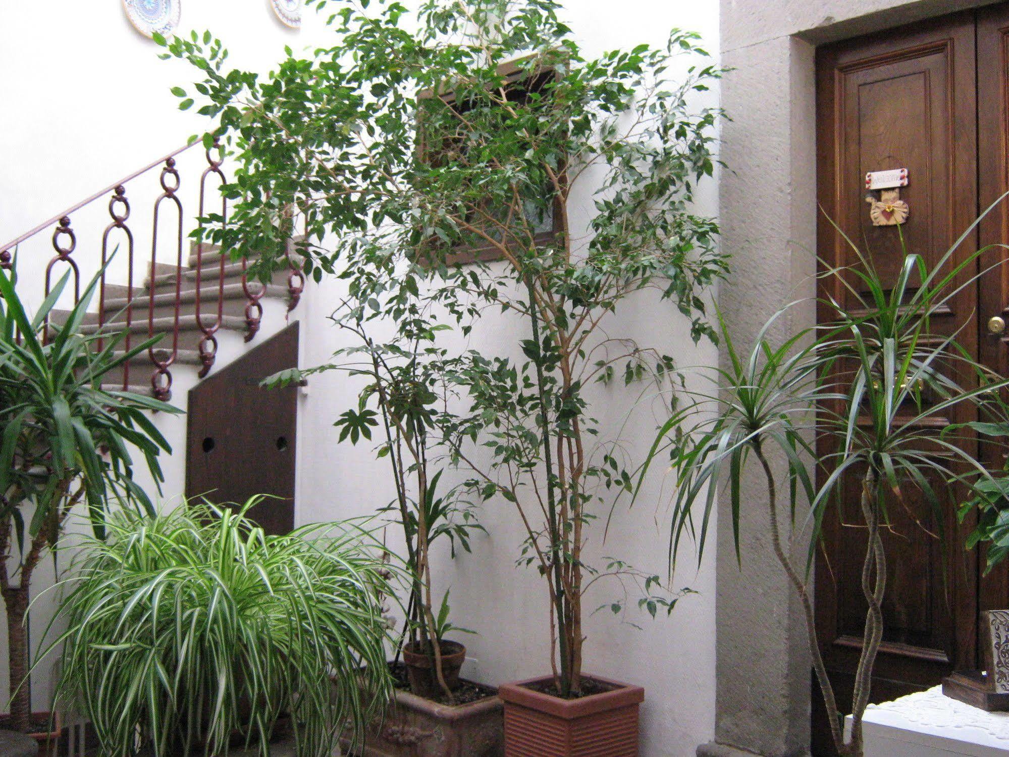 Bb Santa Rosa Bed & Breakfast Viterbo Exterior foto